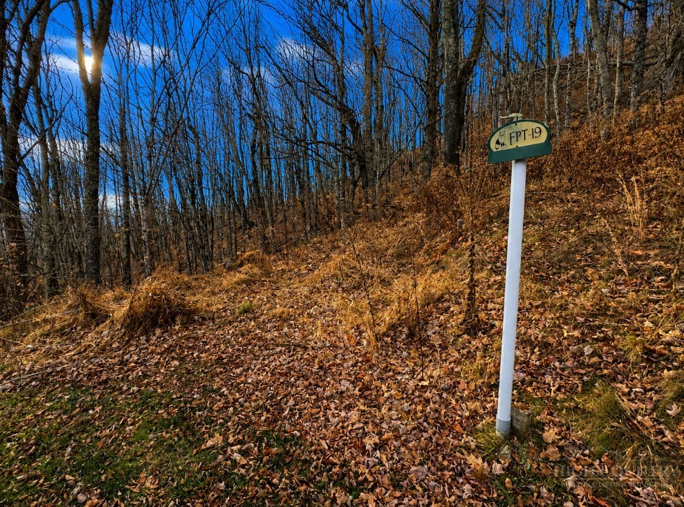 Tbd Wakeman Way Property Photo 4