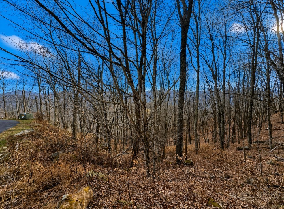 Tbd Wakeman Way Property Photo 5