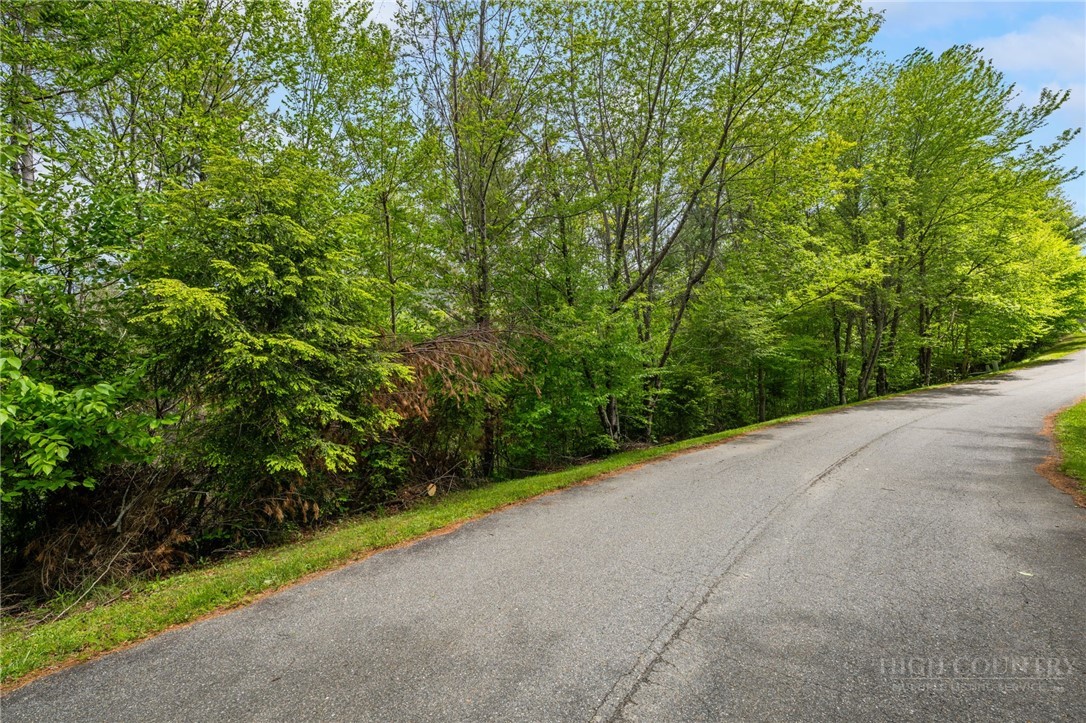 Lot 38 White Fox Lane Property Photo 2