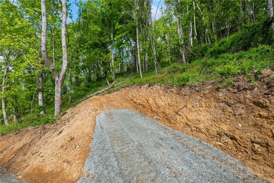 Lot 44 W Silver Springs Drive Property Photo 2