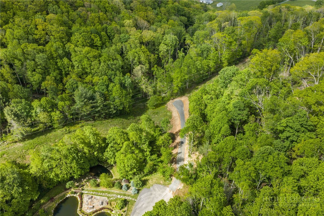 Lot 44 W Silver Springs Drive Property Photo 3