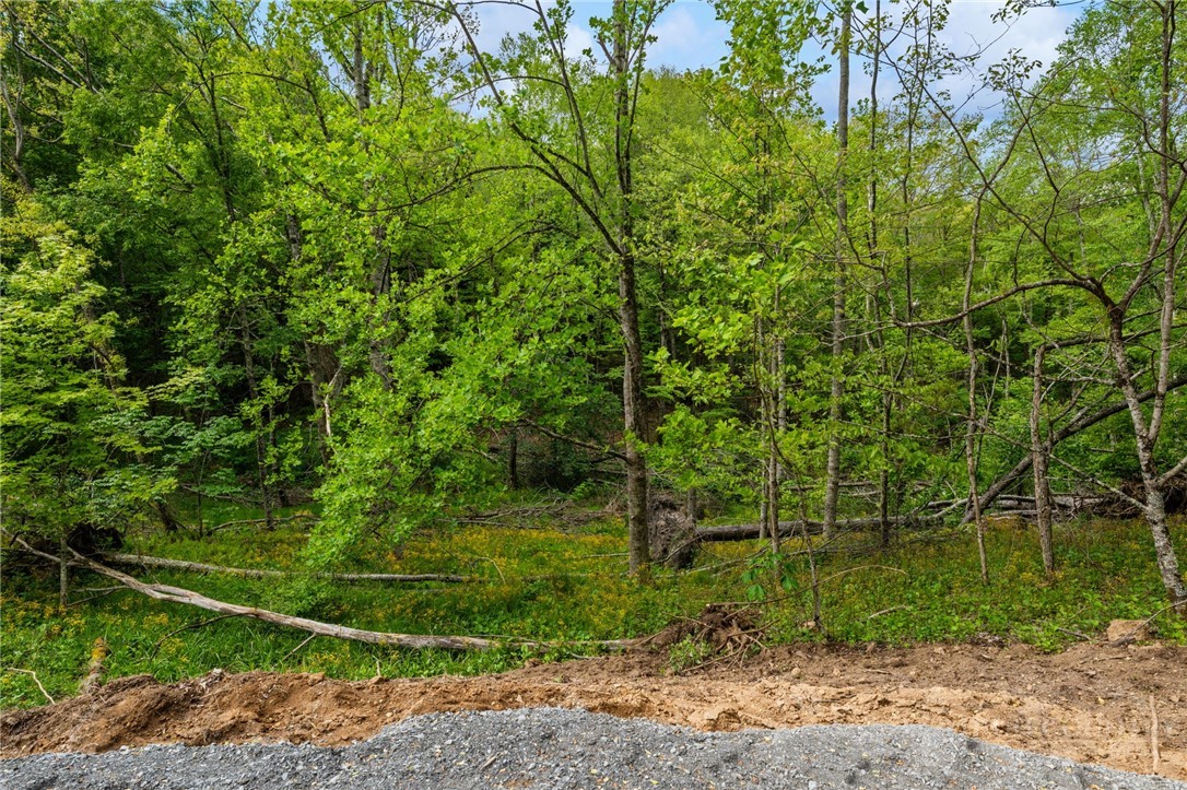 Lot 44 W Silver Springs Drive Property Photo 4
