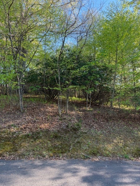 Lot #29 Isabel Way Property Photo 1