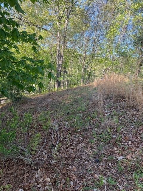 Lot #29 Isabel Way Property Photo 3