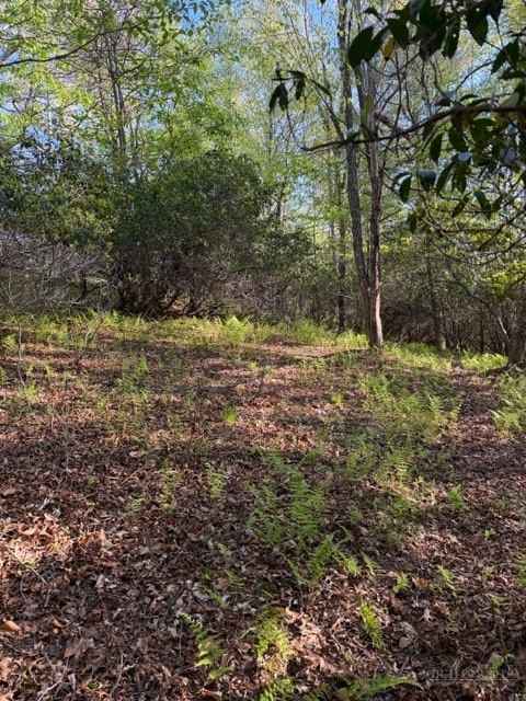 Lot #29 Isabel Way Property Photo 4