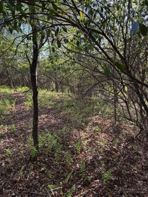 Lot #29 Isabel Way Property Photo 5