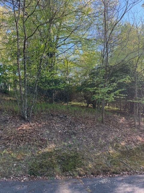 Lot #29 Isabel Way Property Photo 6