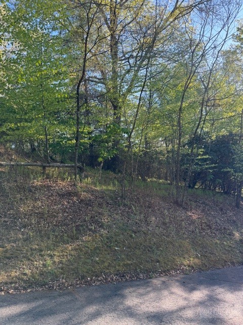 Lot #29 Isabel Way Property Photo 7