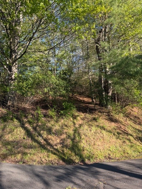 Lot #29 Isabel Way Property Photo 8
