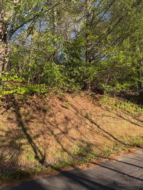 Lot #29 Isabel Way Property Photo 9