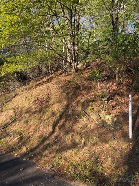 Lot #29 Isabel Way Property Photo 10