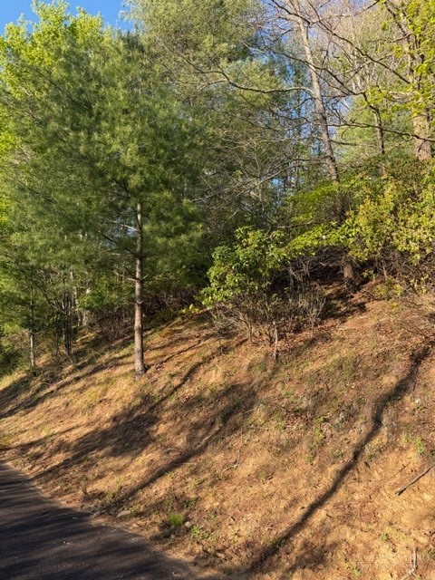 Lot #29 Isabel Way Property Photo 11