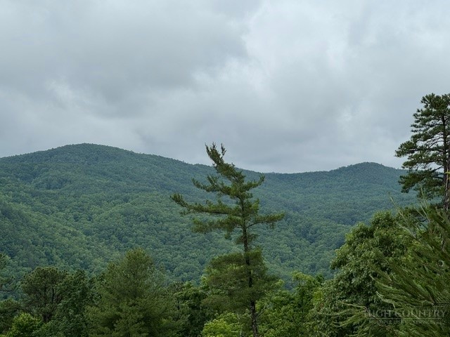 35, 36, 37 Big Sky Road Property Photo 1