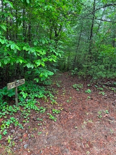 35, 36, 37 Big Sky Road Property Photo 5