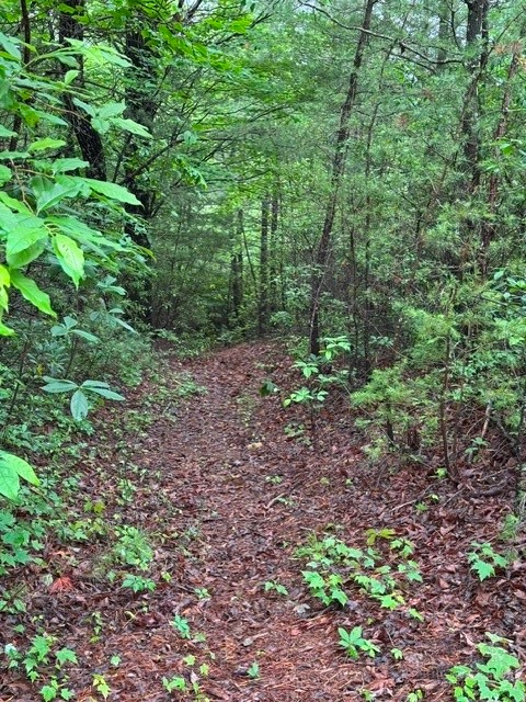 35, 36, 37 Big Sky Road Property Photo 7