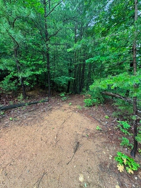 35, 36, 37 Big Sky Road Property Photo 10