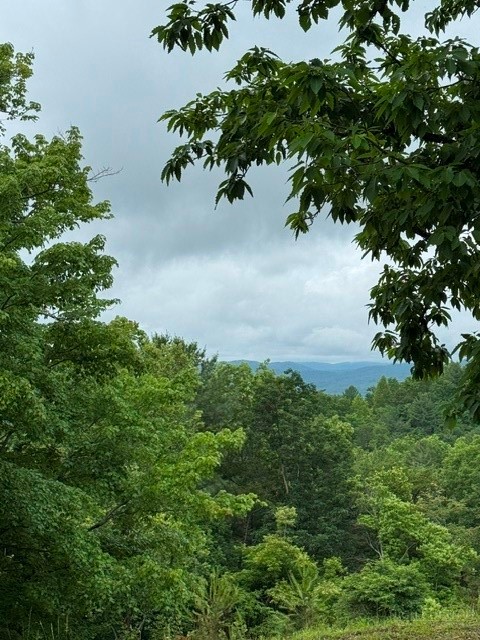 35, 36, 37 Big Sky Road Property Photo 11