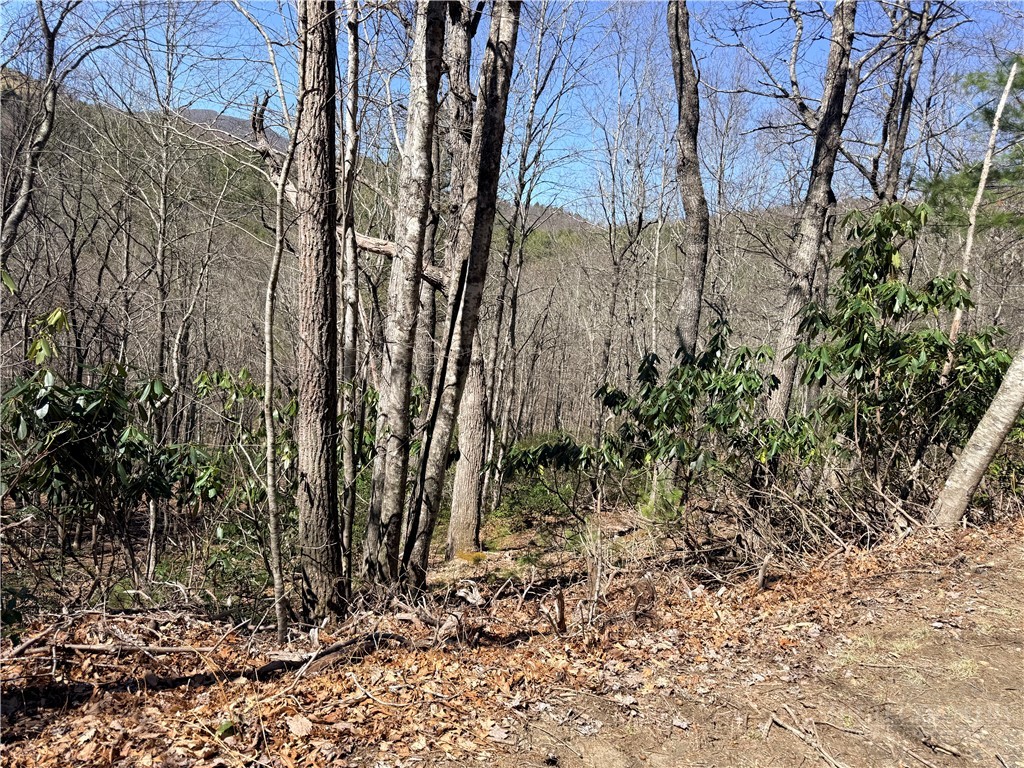 TBD Lot 19 Lost Trail