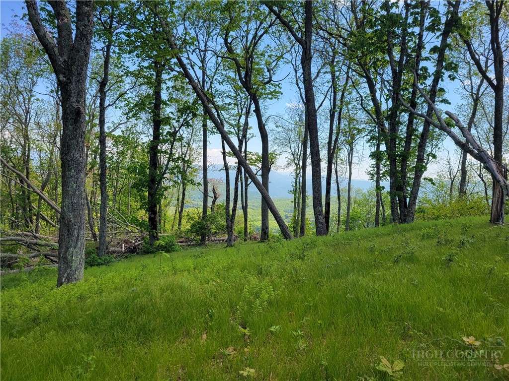 Lot 60 Monteagle Subdivision Property Photo 1