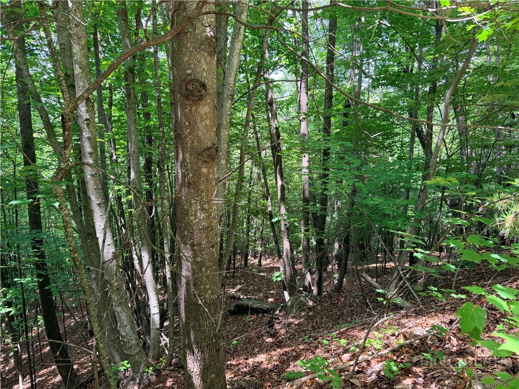 Lot 132a Warren Way Road Property Photo 6