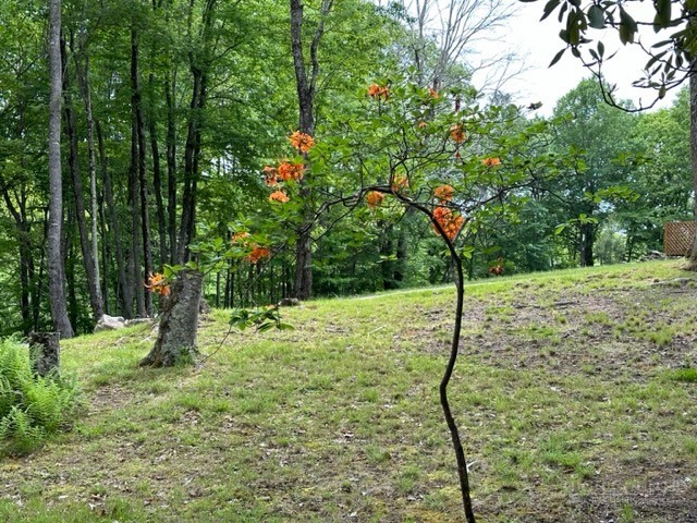 470 Rocky Top Ln. Property Photo 4