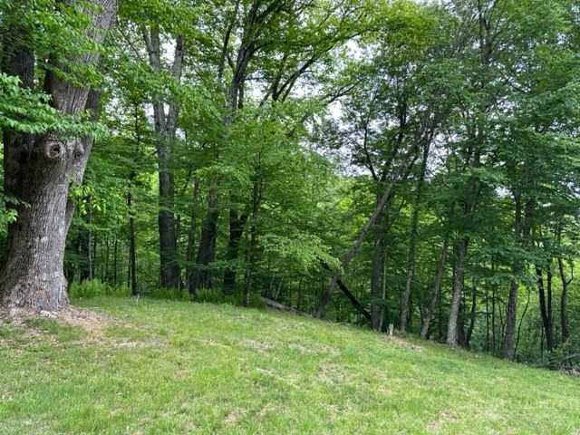 470 Rocky Top Ln. Property Photo 10