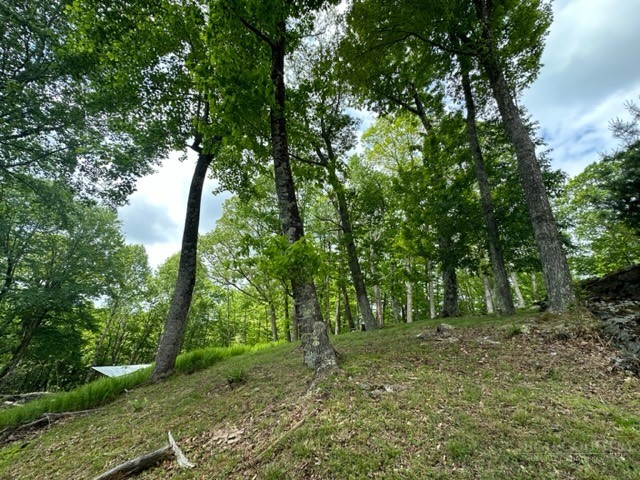 470 Rocky Top Ln. Property Photo 12