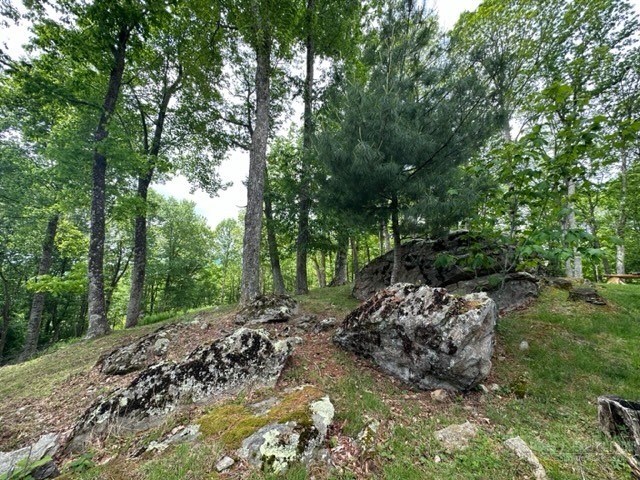 470 Rocky Top Ln. Property Photo 14
