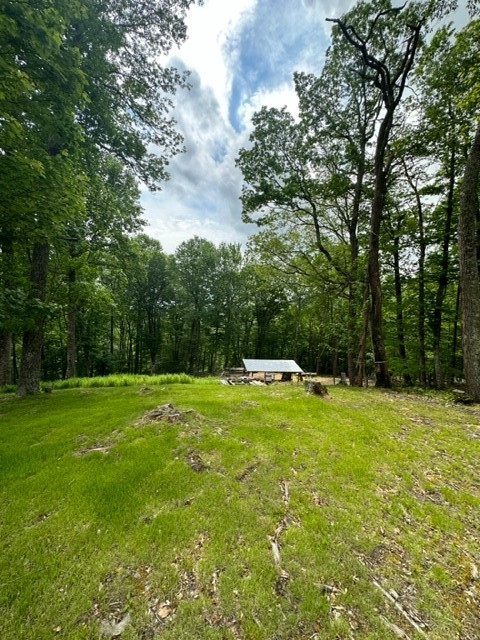 470 Rocky Top Ln. Property Photo 15