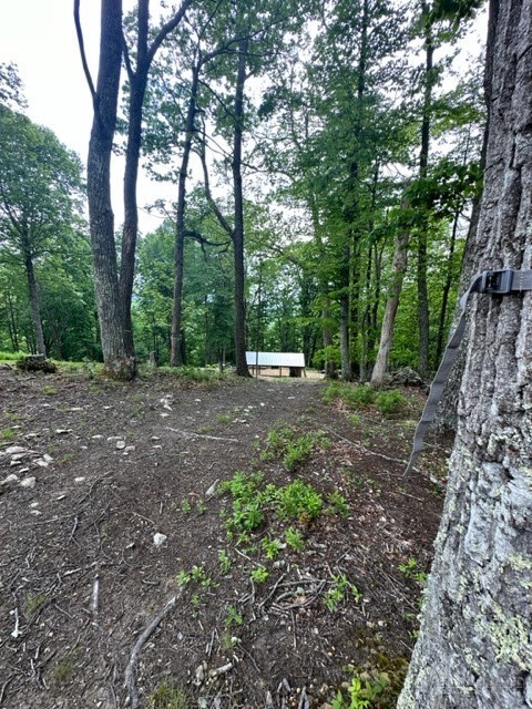 470 Rocky Top Ln. Property Photo 20