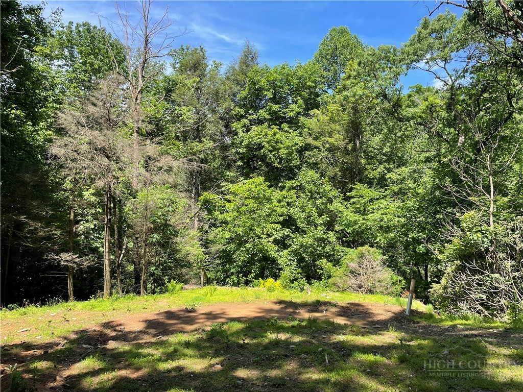 156 Dragonfly Lane Property Photo 1