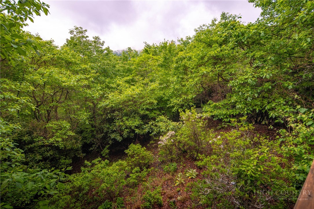 280 Chinkapin Ridge Property Photo 35