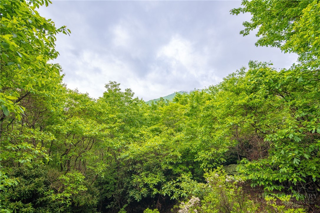 280 Chinkapin Ridge Property Photo 36