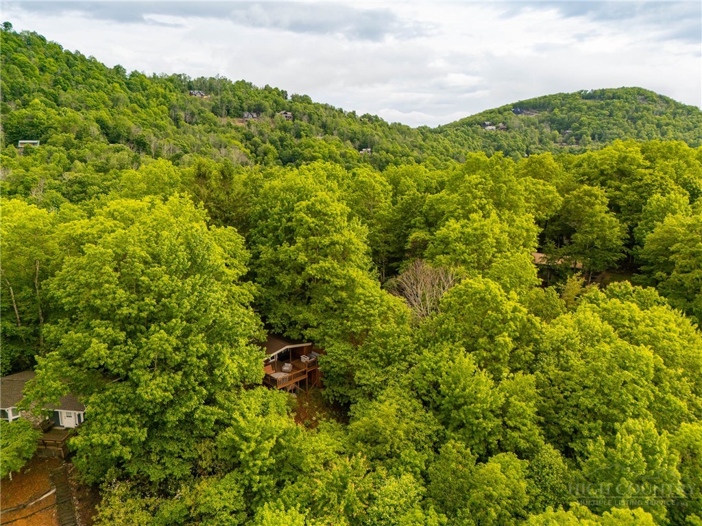 280 Chinkapin Ridge Property Photo 38