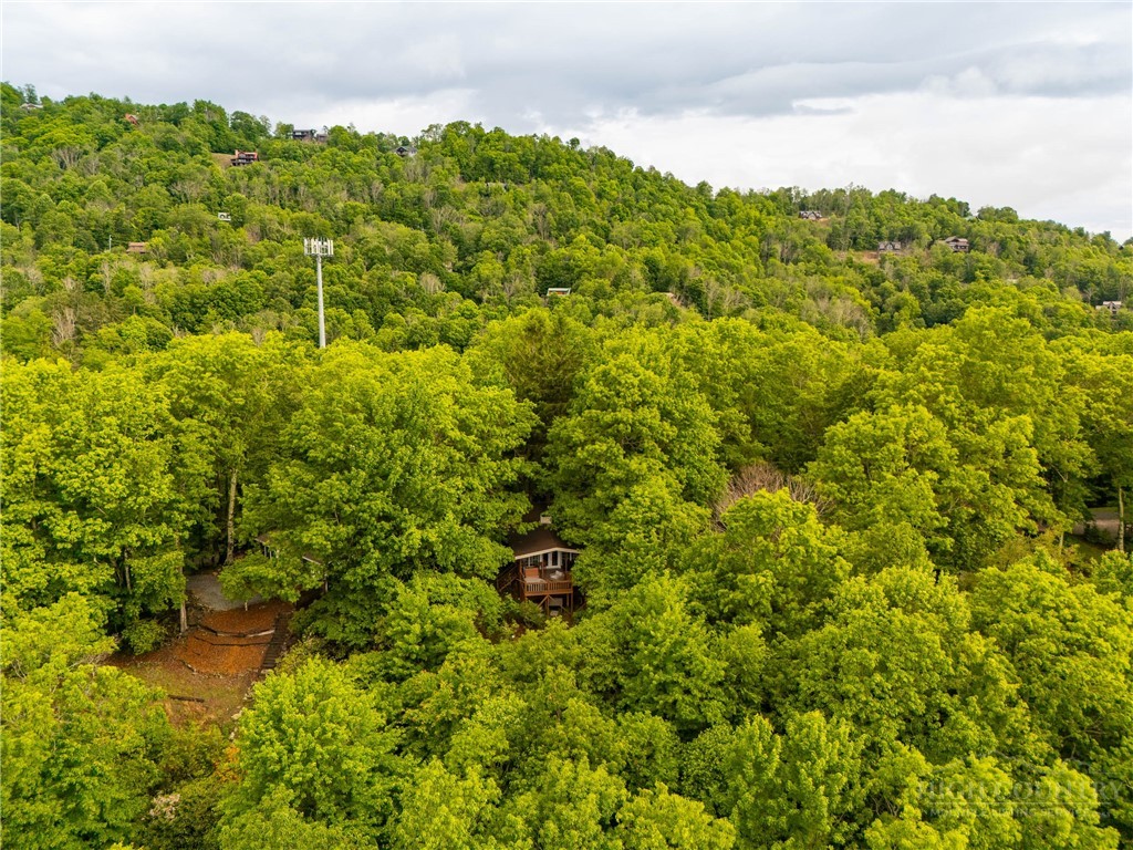 280 Chinkapin Ridge Property Photo 39