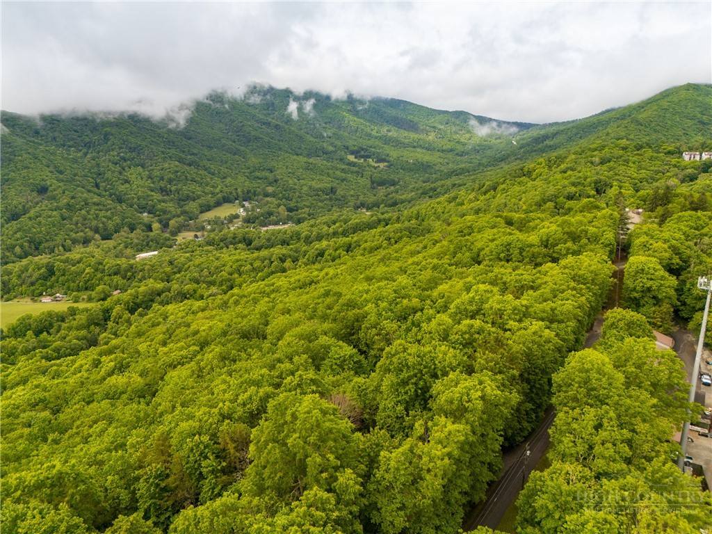 280 Chinkapin Ridge Property Photo 40