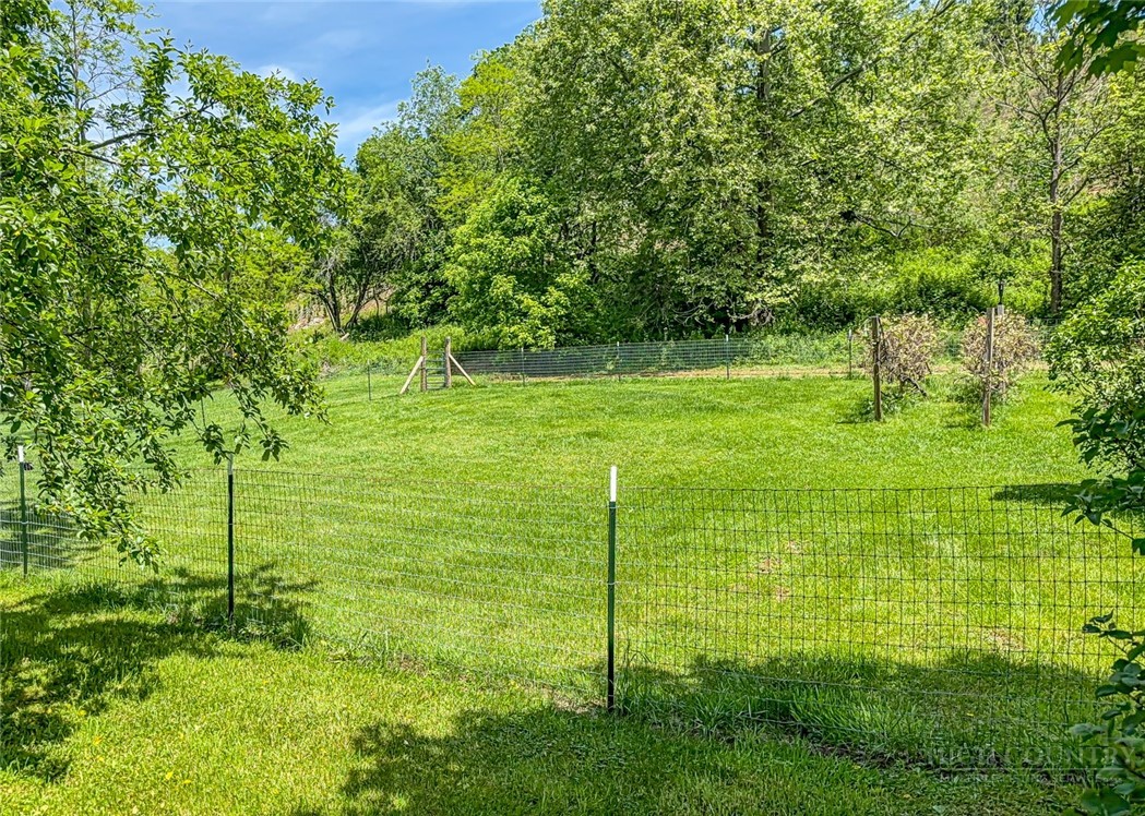 16215 N North Carolina Highway 194 Property Photo 33