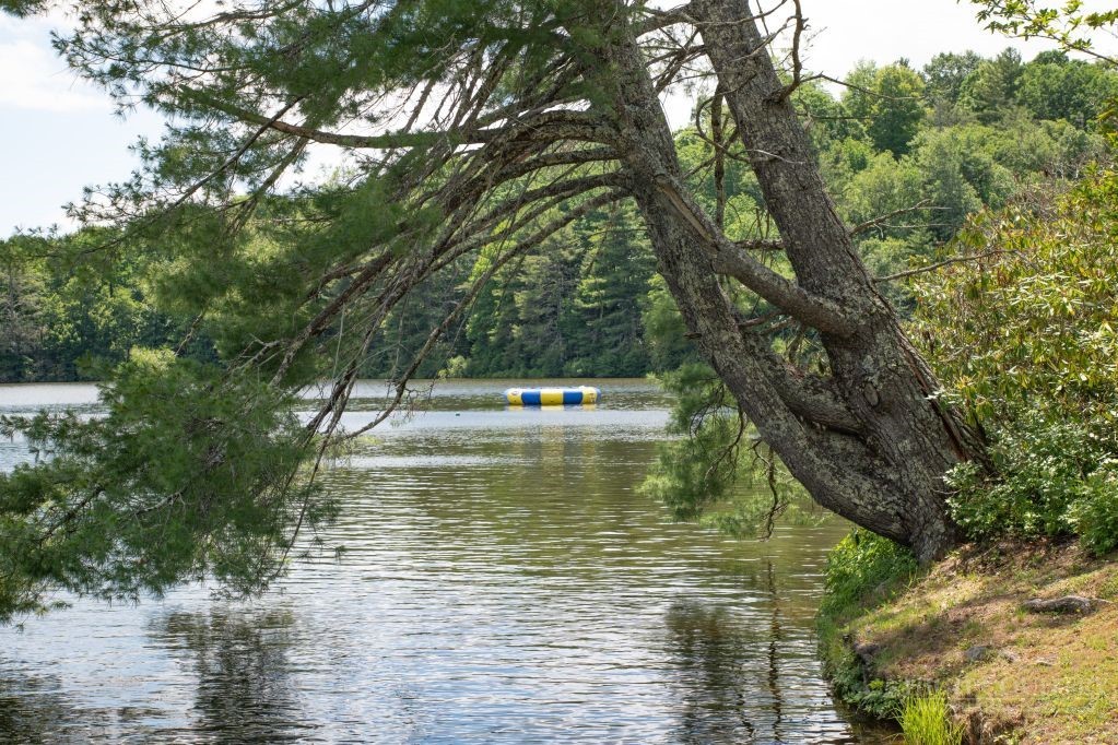 84 Pine Ridge Loop Property Photo 21
