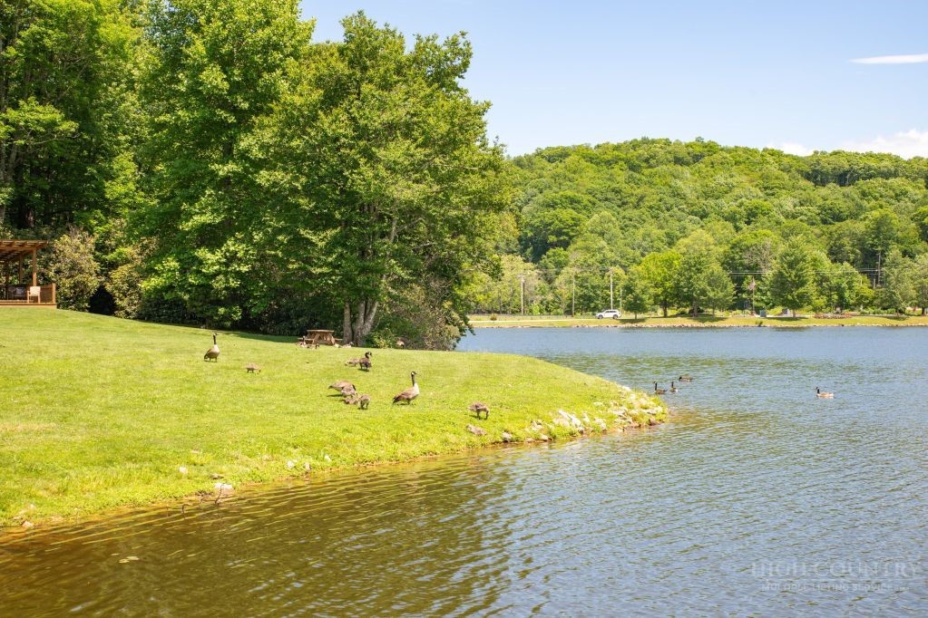 84 Pine Ridge Loop Property Photo 30