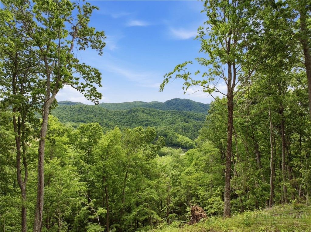 Lot 191 Raspberry Lane Property Photo 1
