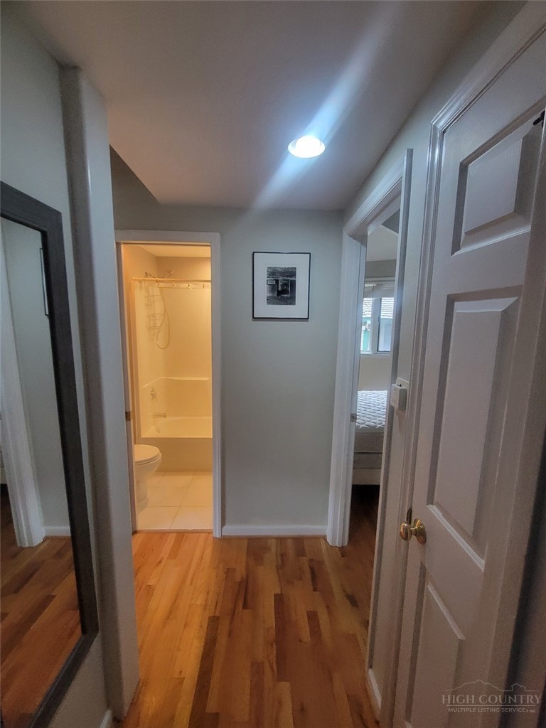 155/157 Sycamore Street Property Photo 6