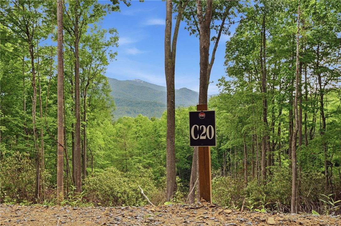 C20 Autumnwood Trace Property Photo 1
