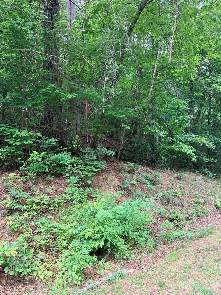 Tbd N Marley Ford Road Property Photo 2