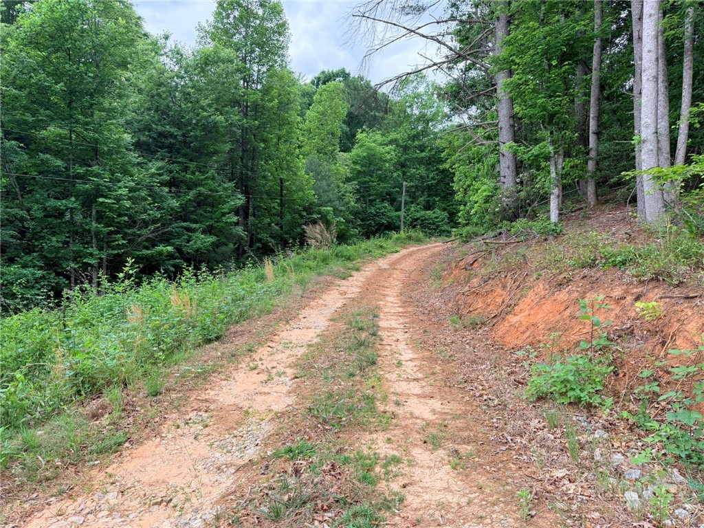 Tbd N Marley Ford Road Property Photo 4