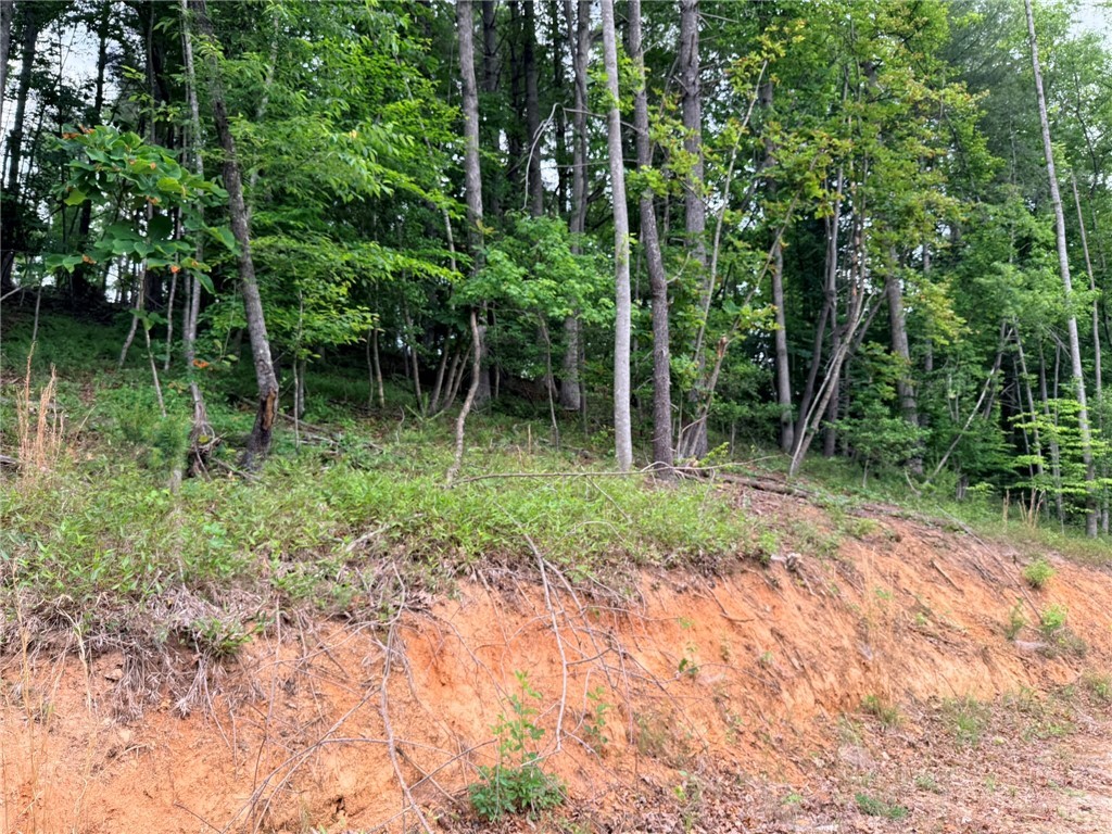 Tbd N Marley Ford Road Property Photo 5