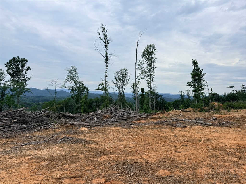 Tbd N Marley Ford Road Property Photo 6