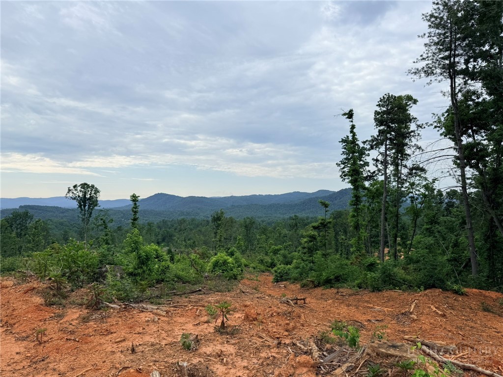 Tbd N Marley Ford Road Property Photo 10