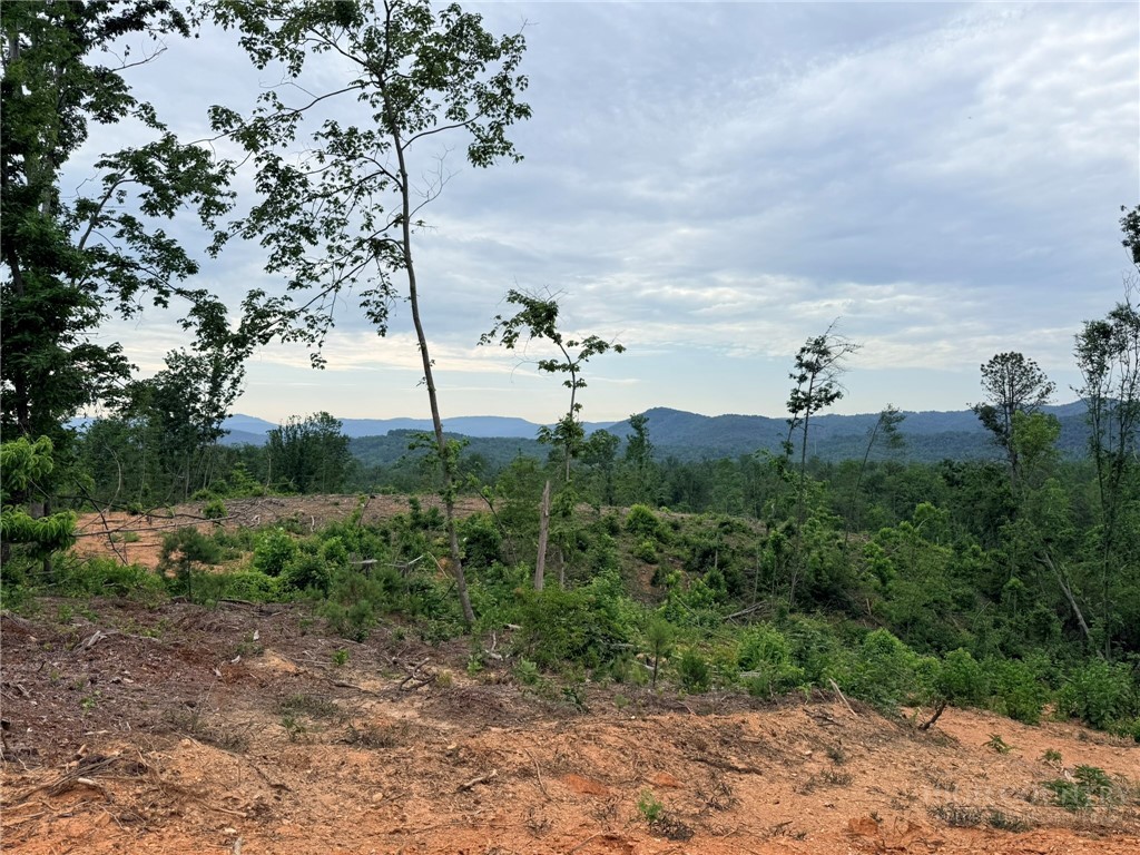 Tbd N Marley Ford Road Property Photo 11