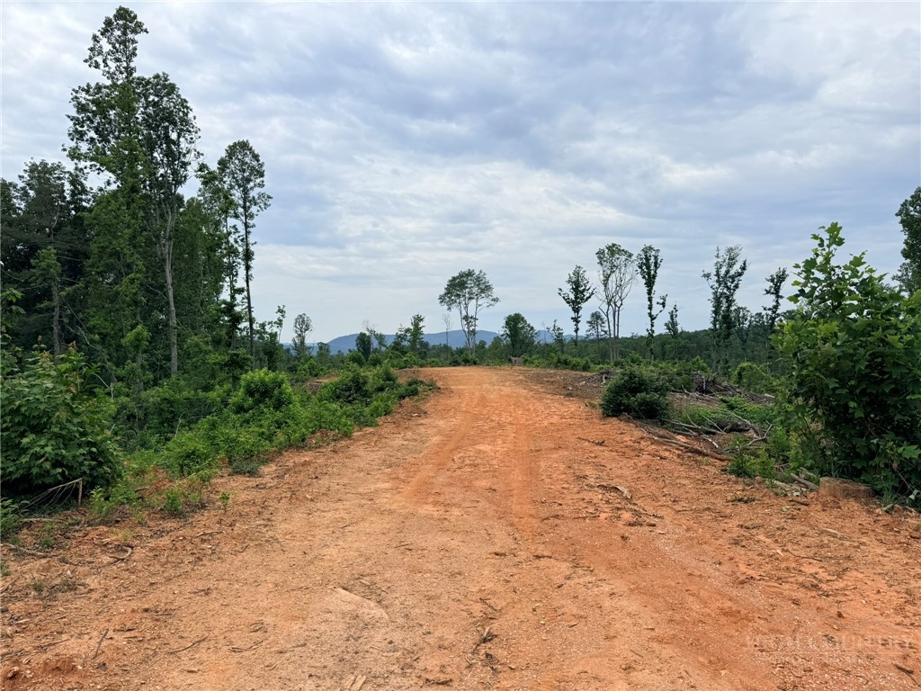 Tbd N Marley Ford Road Property Photo 13