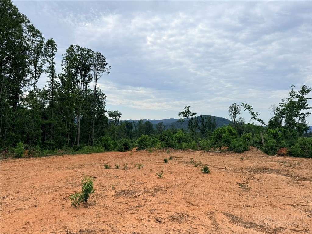 Tbd N Marley Ford Road Property Photo 14